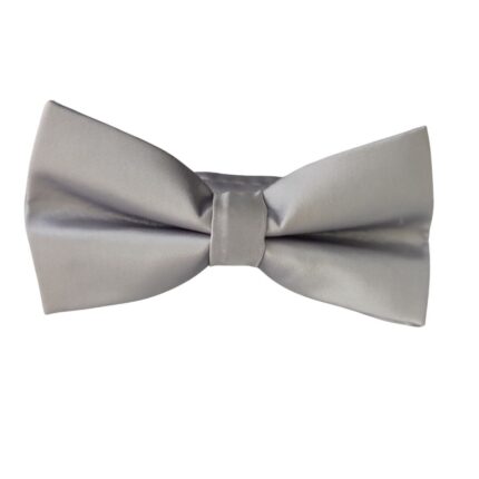 Παπιγιόν γκρι ασημί