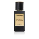 LABYRINTH OF FEELINGS